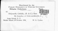 Image Associated With the Occurence